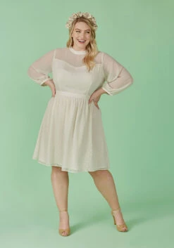 Sheerly Blessed In Bliss Fit And Flare Dress -Sway & Shine Fashion Sales Store 110ea5a35d7b9db296c9fcb6e7fd9182
